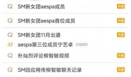 sm公司最新爆料,揭秘明星幕后故事与公司内部动态