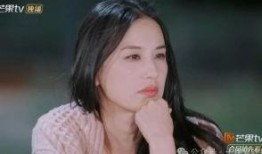 赵姐最新爆料新闻,最新爆料新闻背后的惊人真相